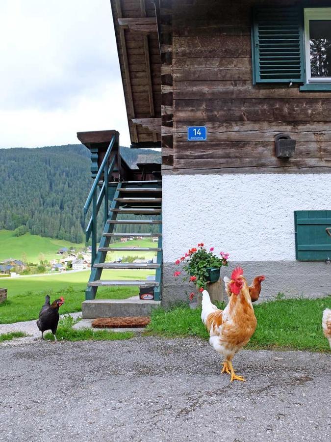 Ferienhaus Asterbach Gosau Bagian luar foto