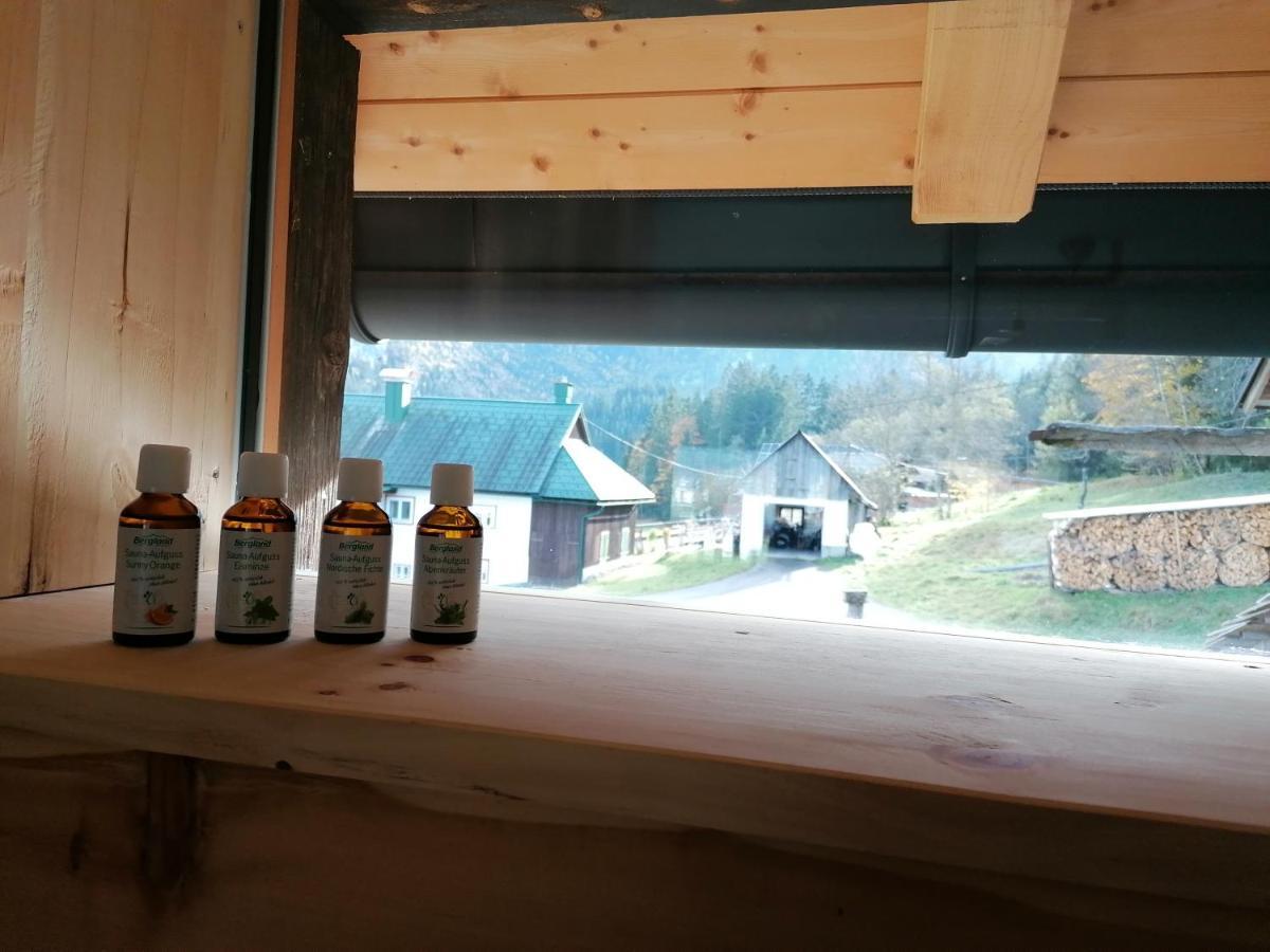 Ferienhaus Asterbach Gosau Bagian luar foto