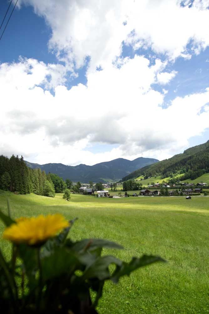 Ferienhaus Asterbach Gosau Bagian luar foto