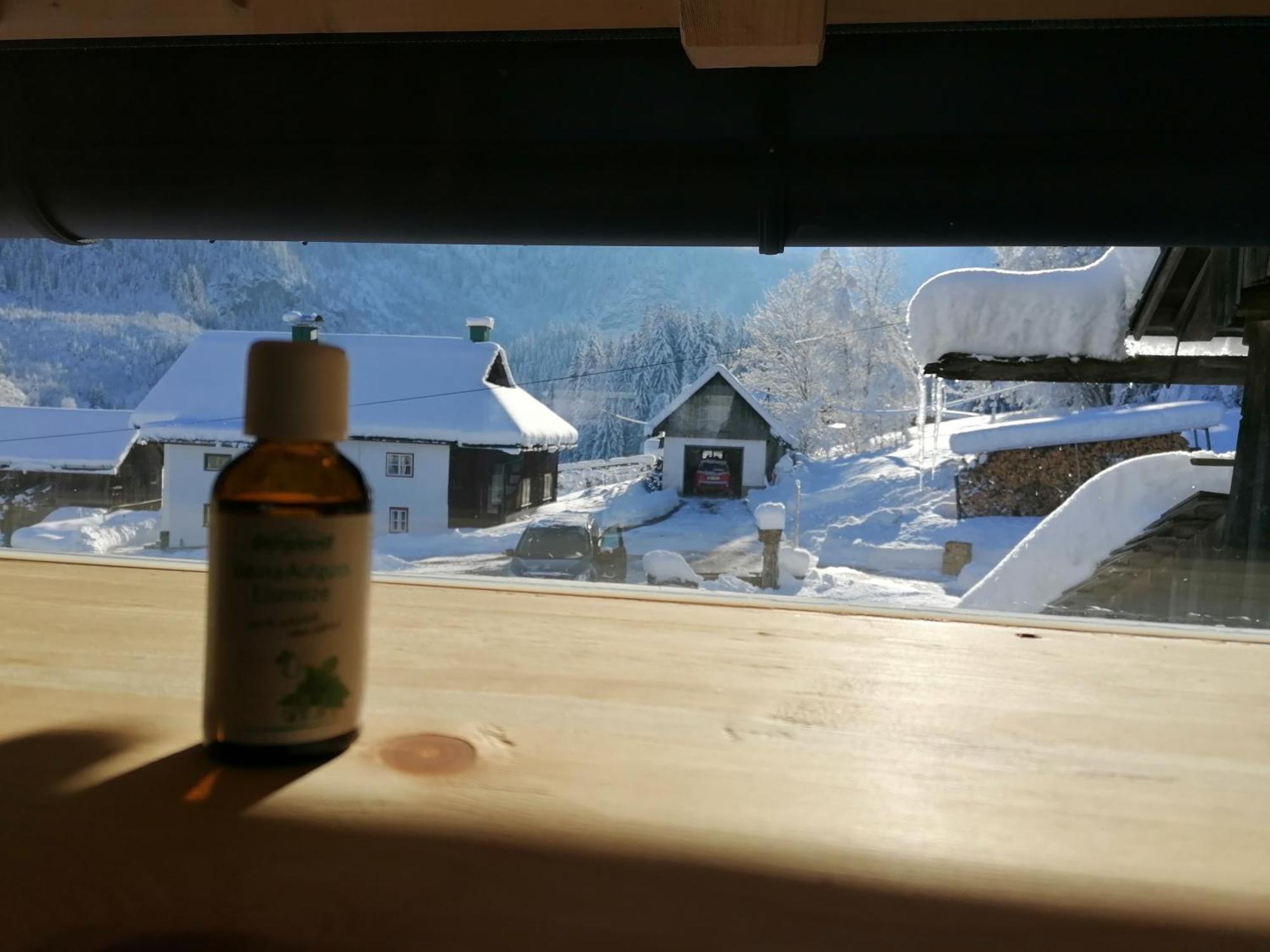 Ferienhaus Asterbach Gosau Bagian luar foto
